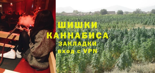 крисы Волоколамск