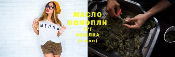 твердый Верхний Тагил