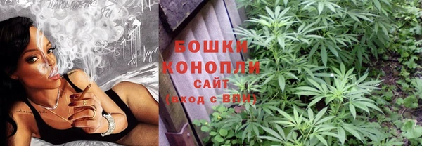 стаф Верея