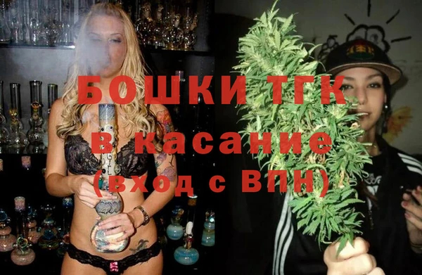стаф Верея